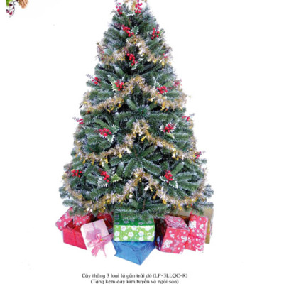Cây thông noel 3 loại lá gắn trái đỏ cao 150cm