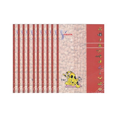 Lốc 10 Cuốn Tập Sinh Viên Vibook - 96 Trang