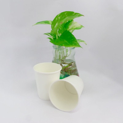 Ly giấy 6.5oz~192ml - Lốc 50 ly giấy trơn 