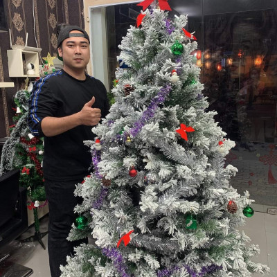 Cây thông noel phủ tuyết cao 1m8 - Cây loại 3 lá dày tán rộng