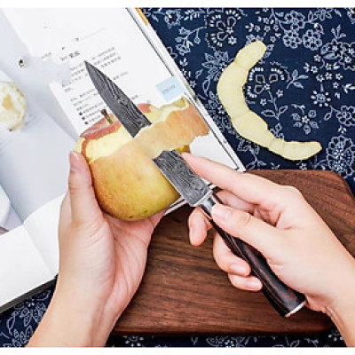 ✨ Bộ Đôi Dao Thái / Gọt Seiki – Sushi & Sashimi ✨