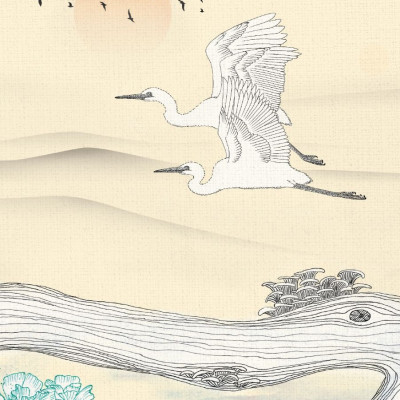 Sách - Trong đầm gì đẹp bằng sen (Sách tô màu)