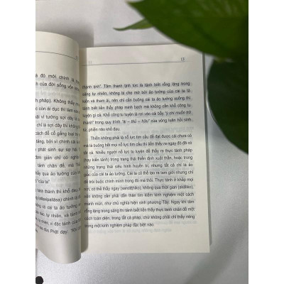 Sách - Sống Trong Thực Tại (Viên Minh)