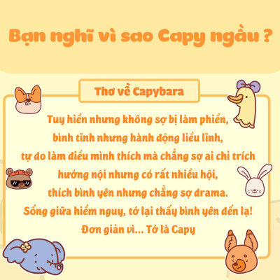 Capy Và Những Người Bạn