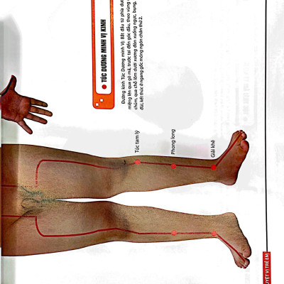 Đồ Giải Kinh Lạc Huyệt Vị - Trẻ Em