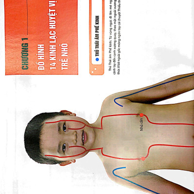 Đồ Giải Kinh Lạc Huyệt Vị - Trẻ Em