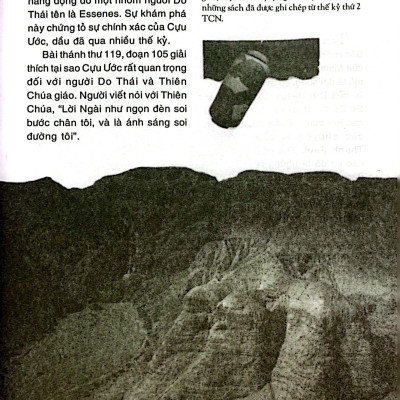 Câu Chuyện Kinh Thánh (Tái Bản 2023)