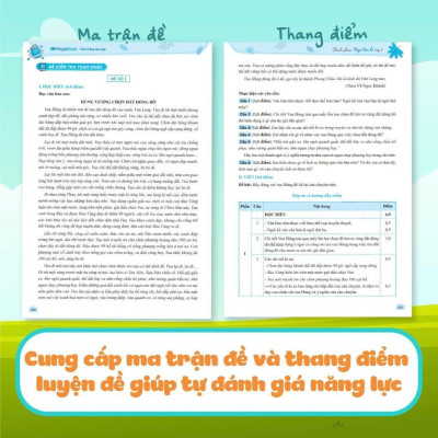 Sách - Chinh Phục Ngữ Văn - Kỹ Năng Đọc Hiểu Và Viết Theo Các Thể Loại Lớp 6 - Combo 2 Tập - Megabook