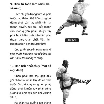 Thiếu Lâm Tự Quyền Phổ Tập 2 - Tâm Ý Môn