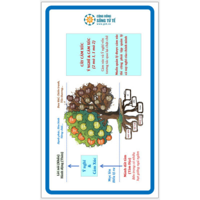 Combo Sách Cội Nguồn Trí Tuệ Cảm Xúc (Trọn bộ) - Hàng Chính Hãng