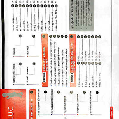 Đồ Giải Kinh Lạc Huyệt Vị - Trẻ Em