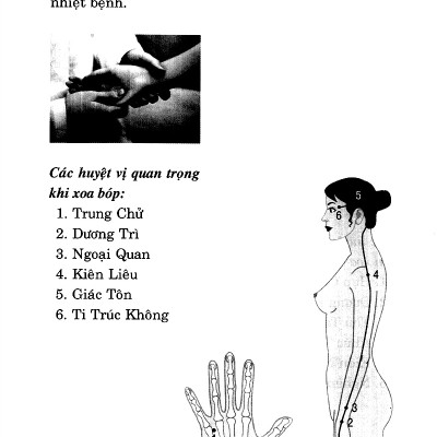 Day Ấn Xoa Bóp Trị Liệu 20 Bệnh Thường Gặp - VL