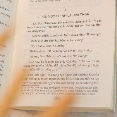 Bộ Sách Một Tách Trà Thiền ( Thiền Là Một Tách Trà Tĩnh Tâm + Thiền Là Một Nhành Hoa ) - Á Châu Books, Bìa Mềm, In Màu