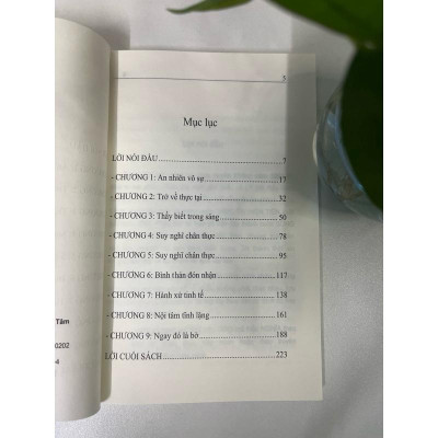 Sách - Sống Trong Thực Tại (Viên Minh)