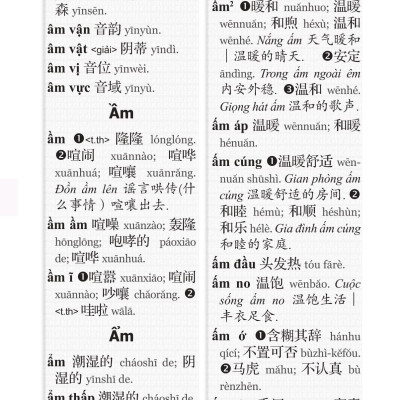 Từ Điển Việt - Hán Hiện Đại (Khổ 10x16, Bìa cứng) - Tặng Kèm Từ Điển Việt Hán Trực Tuyến