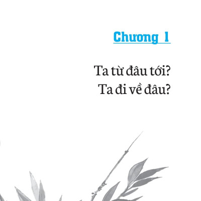 Không Diệt Không Sinh Đừng Sợ Hãi (Tái Bản 2022)