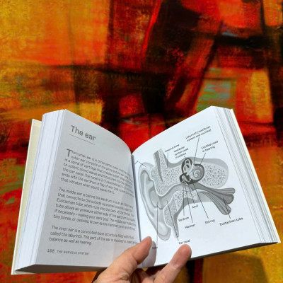 Sách -The Human Body in Minutes: 200 Key Concepts Illustrated and Explained in an Instant by Tom Jackson