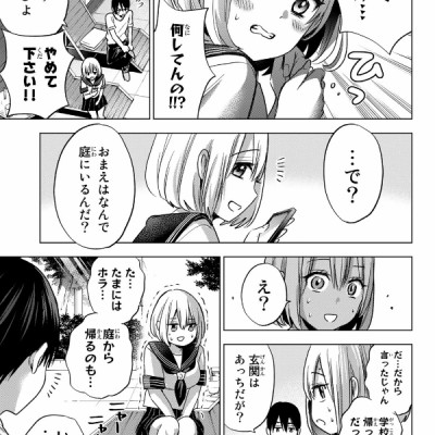 カッコウの許嫁 8 - A Couple Of Cuckoos 8