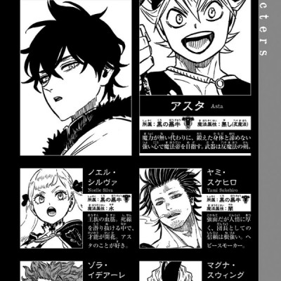 ブラッククローバー 30 - Black Clover 30
