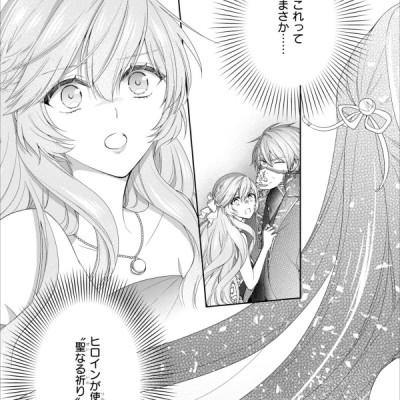 Akuyaku Reijo Wa Ringoku No Otaishi Ni Dekiai Sareru 3 (Japanese Edition)