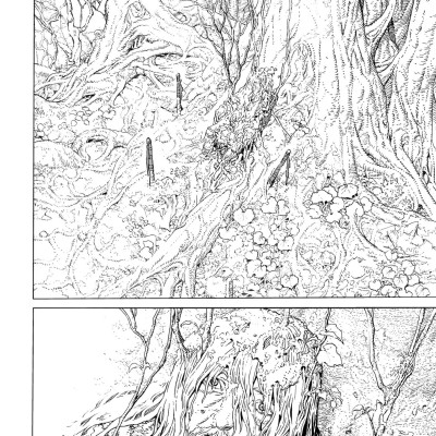 To Your Eternity 13 (English Edition)