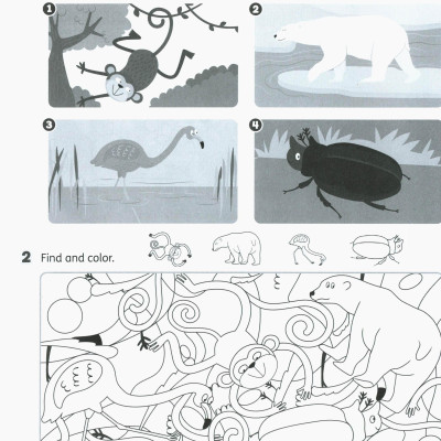 Buzz Starter Workbook