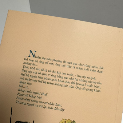 RỪNG MẮM - Bình Nguyên Lộc - Nxb Trẻ