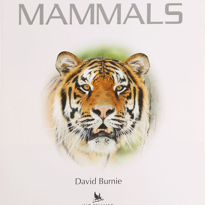 Navigators: Mammals