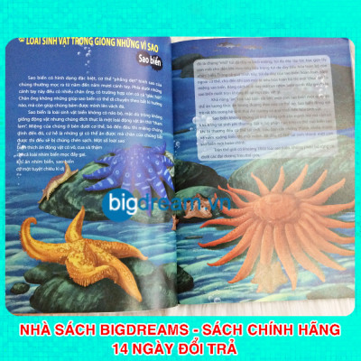 Khám Phá Thế Giới Động Vật Kì Thú - Thế giới của các loài vật kì quái - Kiến thức bách khoa cho trẻ