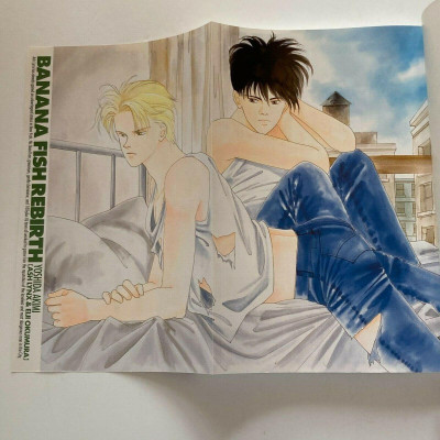 Banana Fish Official Guide Book: Rebirth [Complete Edition] (Japanese Edition)
