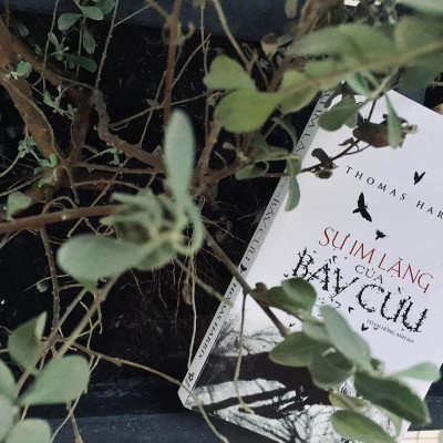 Sách - Combo 2 Cuốn Gay Cấn Kinh Dị: Misery + Sự Im Lặng Của Bầy Cừu