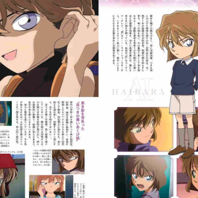 Detective Conan: Secret Archives Ai Haibara (Japanese Edition)