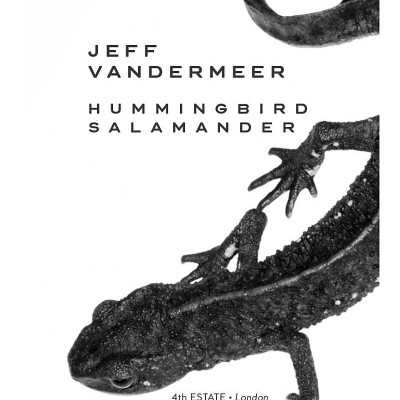 Hummingbird Salamander