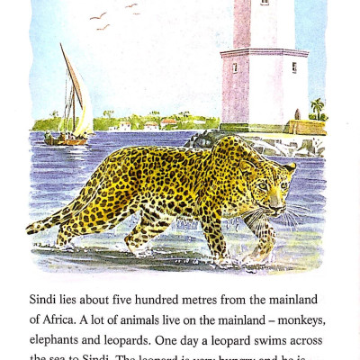 The Leopard and the Lighthouse: Easystarts