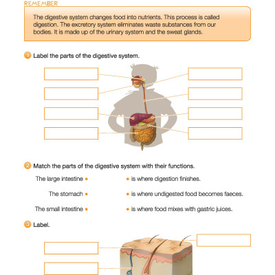 i-Learn Smart Science 4 Activity Book