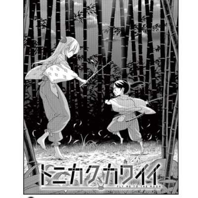 Tonikaku Kawaii 20 - Fly Me To The Moon 20 (Japanese Edition)