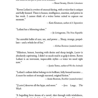 Luster: A Novel