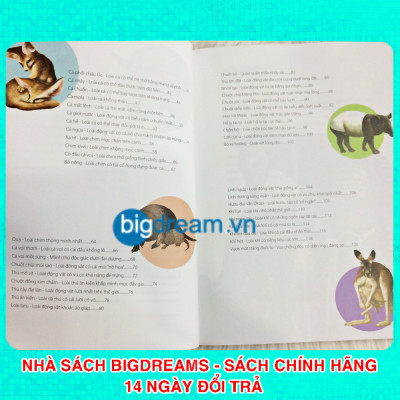 Khám Phá Thế Giới Động Vật Kì Thú - Thế giới của các loài vật kì quái - Kiến thức bách khoa cho trẻ