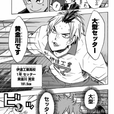ハイキュー!! 15 - HAIKYU-! ! 15