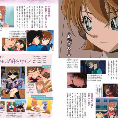 Detective Conan: Secret Archives Ai Haibara (Japanese Edition)