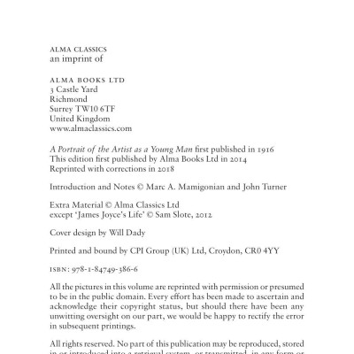 A Portrait Of The Artist As A Young Man