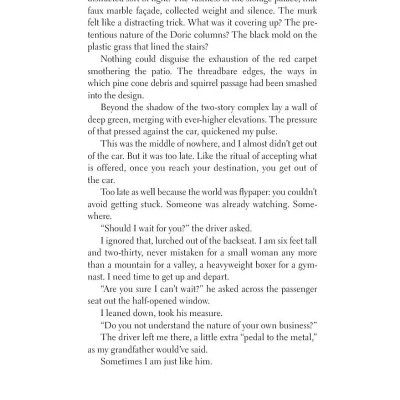 Hummingbird Salamander