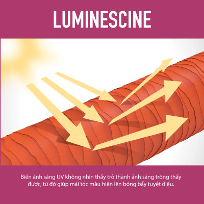 Dầu Gội Giữ Màu Tóc Nhuộm Goldwell Color Extra Rich Dưỡng Tóc Bóng Mượt, Bền Màu Lâu Phai