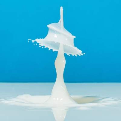 Dầu Gội Dưỡng Tóc Chắc Khoẻ Dành Cho Cả Gia Đình Kracie Ma & Me Latte Shampoo 490mL