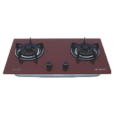 Bếp Gas Âm Faster FS 219R - Hàng Chính Hãng