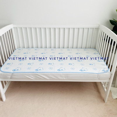 Combo 2 Tấm Lót Chống Thấm VIETMAT Màu Xanh (Size 70 x 100 cm)