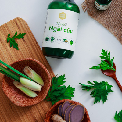 Bộ Đôi Dầu Gội Ngải Cứu và Serum Gừng Đen Nano Mộc Nhu