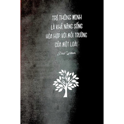 The Little Book - Chủ Nghĩa Thuần Chay - Vanlangbooks