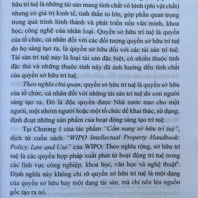 Kiểm Soát Hàng Hoá Giả Mạo Về Sở Hữu Trí Tuệ Tại Biên Giới Của Hải Quan Việt Nam