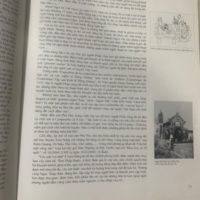 HỘI HOẠ SƠN MÀI VIỆT NAM - BÌA CỨNG